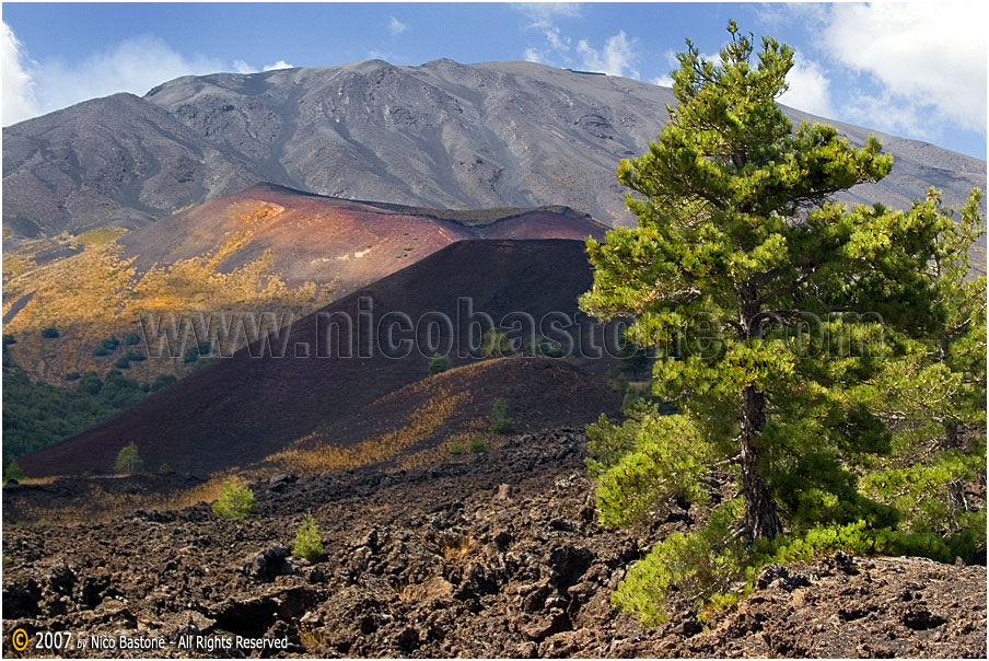 Vulcano Etna - Etna Volcan 10 Panorama con flora e lava