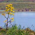 Lago-Garcia-6785-h1000.jpg