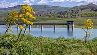 Lago-Garcia-6789-h1000.jpg