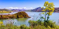 Lago-Garcia-6798-h1000.jpg