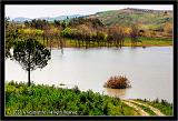 Lago_Poma_1317