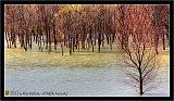 Lago_Poma_1319