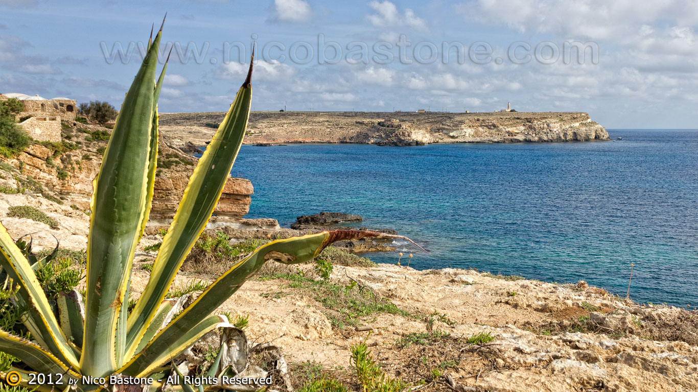 Lampedusa-4658-Large.jpg