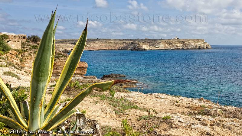 Lampedusa-4658-Large.jpg - Lampedusa "Cala Creta"