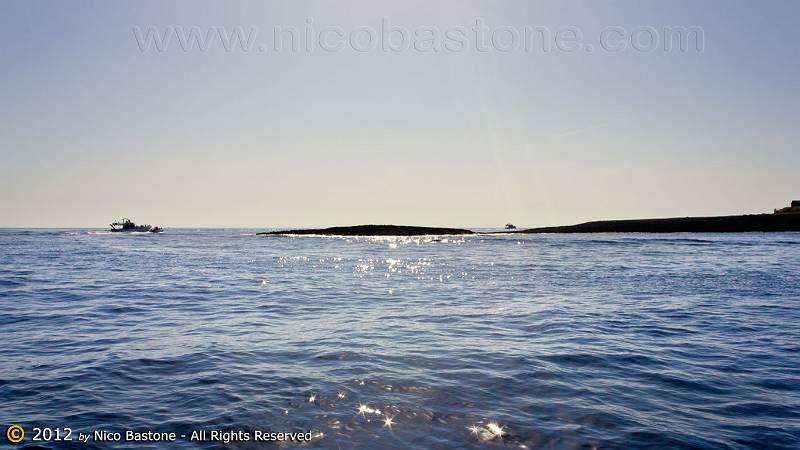 Lampedusa-4912-Large.jpg - Lampedusa "Punta Sottile"