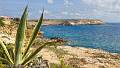 Lampedusa-4658-Large