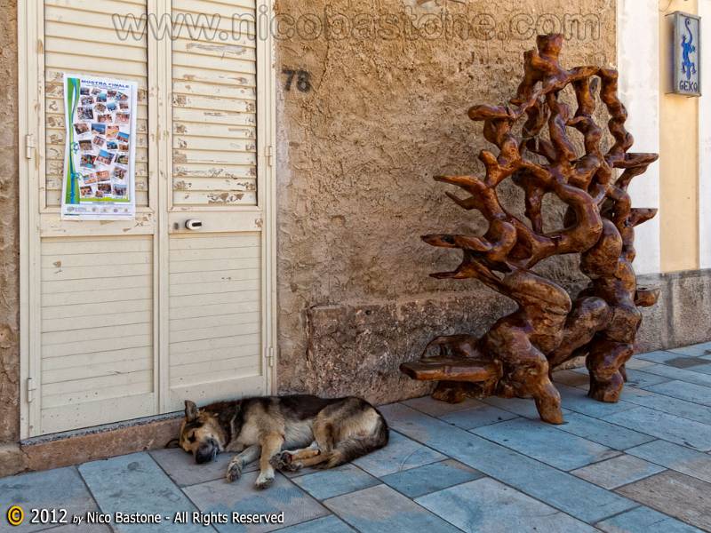 Lampedusa-1048-Large.jpg - Lampedusa "Via Roma. Siesta"