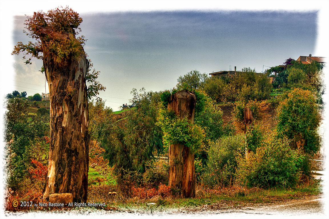 MADONIE Mountains 06