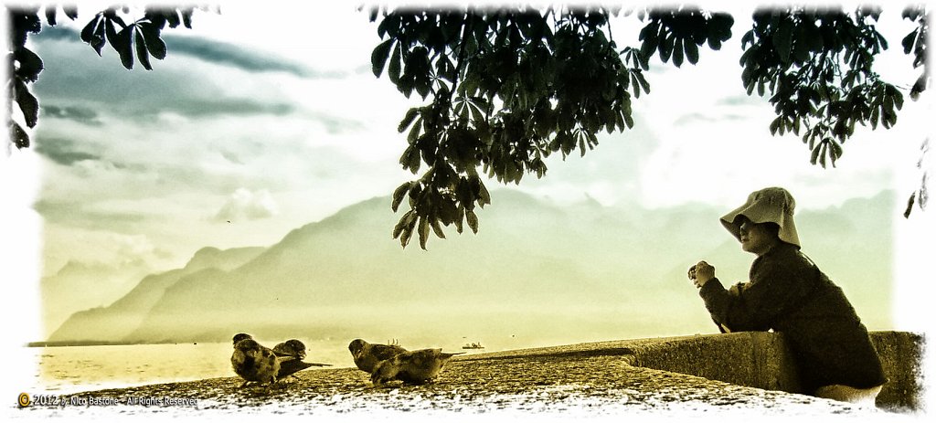 Montreux 31 "Vevey. People & Birds"