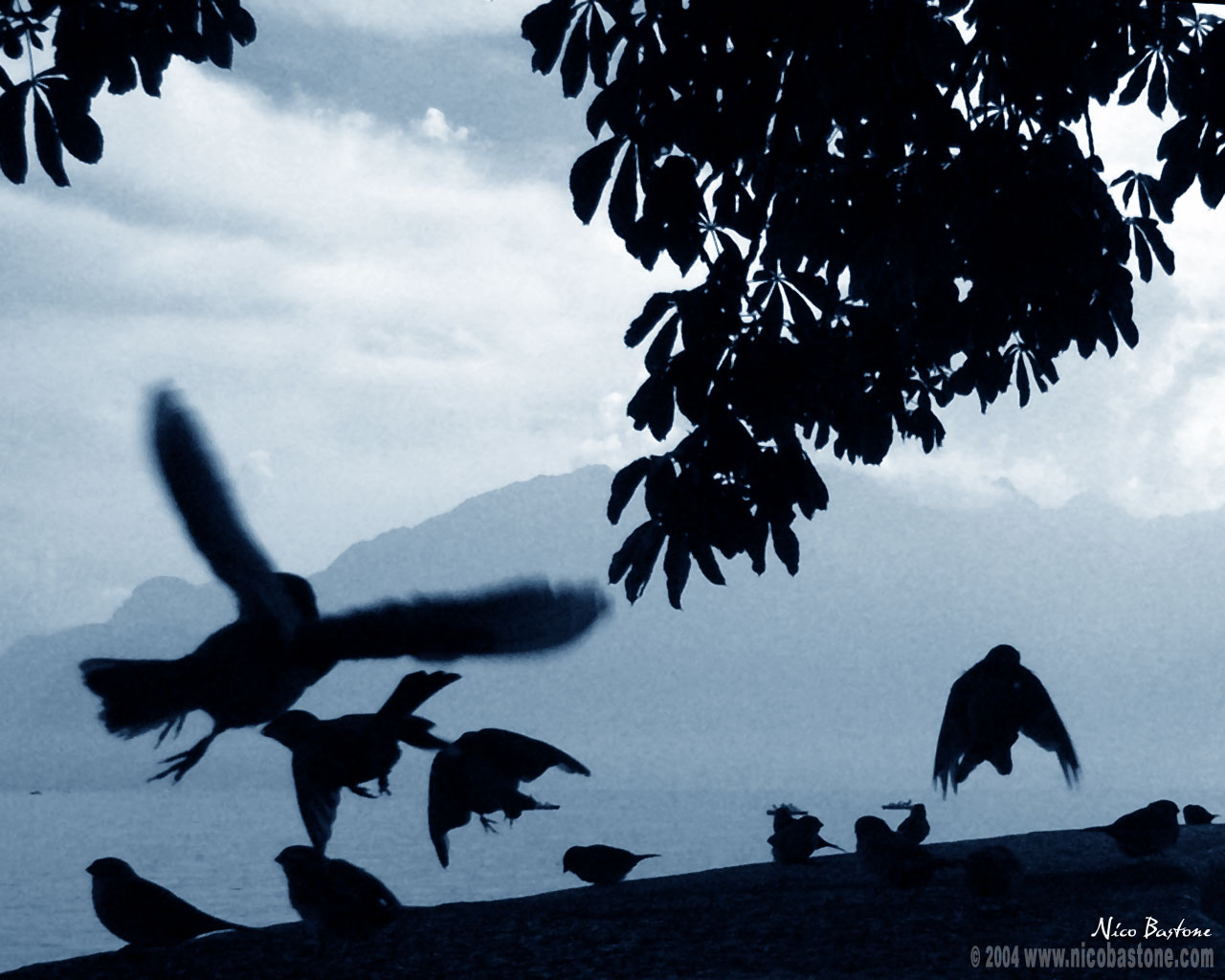 Vevey Wallpaper 1280x1024 - Copyright by Nico Bastone. All Rights Reserved