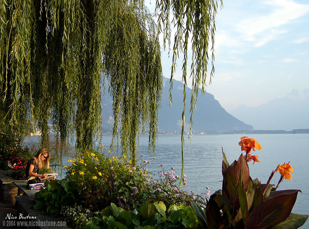 Montreux Wallpaper 1024x768 - Copyright by Nico Bastone. All Rights Reserved