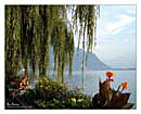 07-Montreux-CH