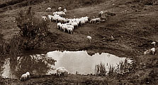 Madonie Mountains