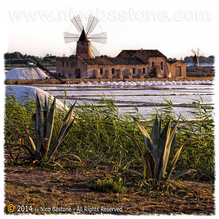 Saline 31 "Stagnone di Marsala. Mozia"