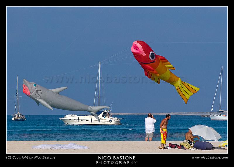 San_Vito_Festival_Aquiloni_35.jpg