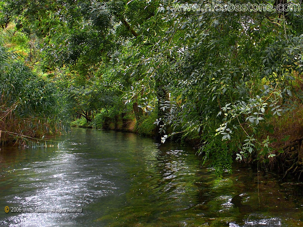 Wallpapers Siracusa: Ciane river photos - Foto fiume Ciane Sfondi per Desktop