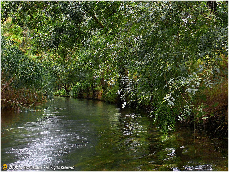 05-Siracusa-Ciane-River