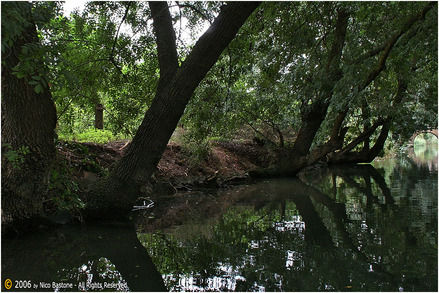 07-Siracusa-Ciane-River