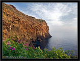 Ustica 50 - Panorama di Punta Omo Morto con il faro