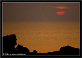 Ustica 81 - Tramonto