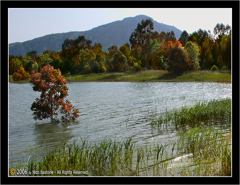Piana degli Albanesi PA "Il lago in un giorno di autunno" - "The lake in an autumn day"