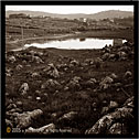 Altofonte PA "Re Bottone, paesaggio in seppia" Altofonte in province of Palermo "Sepia landscape"