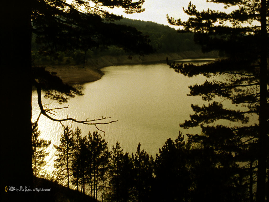 Calabria, Sila - Wallpapers 1024x768 Sfondi per Desktop - Copyright by Nico Bastone - All Rights Reserved