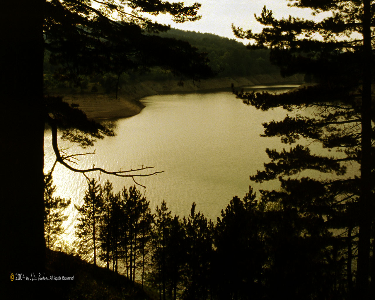 Calabria, Sila - Wallpapers 1280x1024 Sfondi per Desktop - Copyright by Nico Bastone - All Rights Reserved