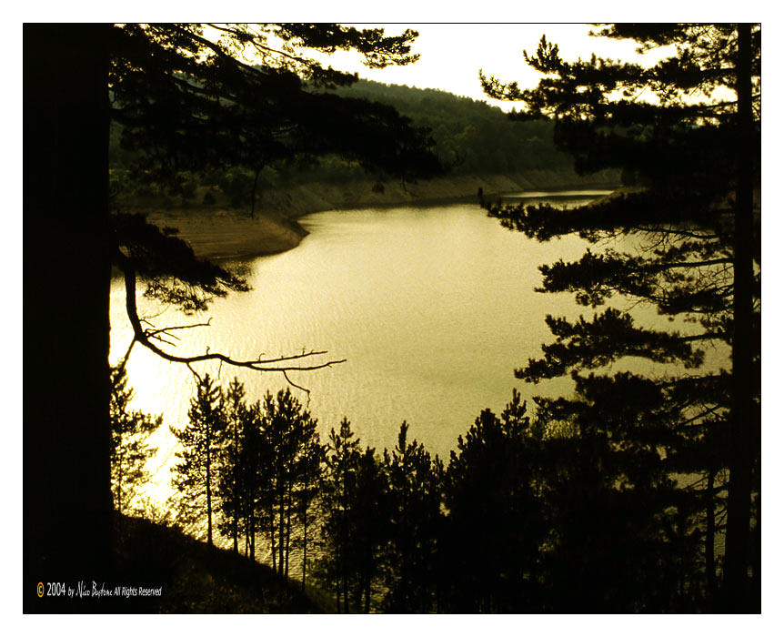 Calabria, Sila: Lago Ampollino - Ampollino Lake