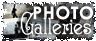 Photo Galleries - Gallerie Fotografiche (foto, fotografie, immagini, photo, photos, photographs, images, pictures, pics, fotos)