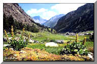 Gran Paradiso National Park