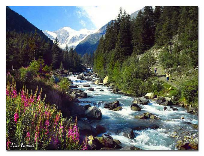 Gran Paradiso National Park # 3