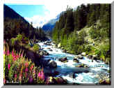 Gran Paradiso National Park