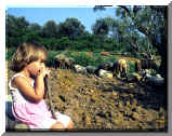 La pastorella - The little shepherd