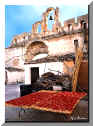 Pomodori ad essiccare - Drying tomatoes