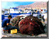 Isola di Favignana - TRAPANI - Favignana Island