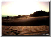 Marina di Ispica - Ragusa "Marispica, dune against the light"