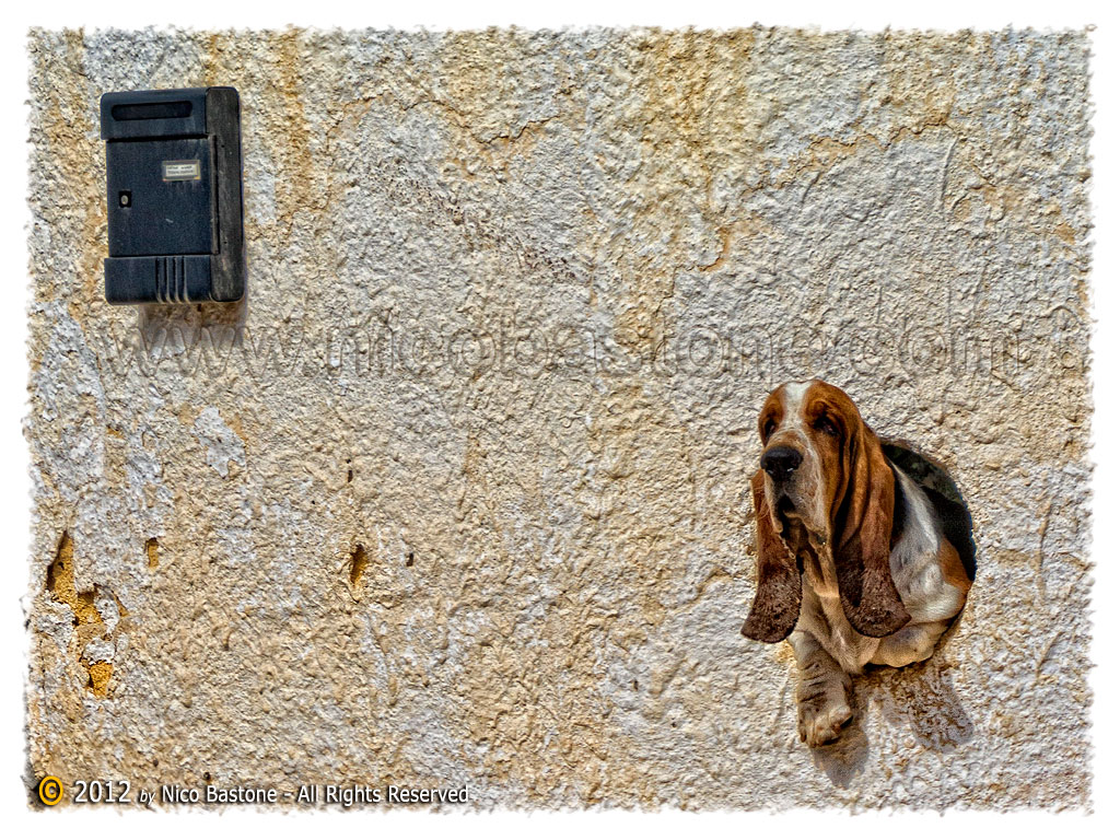 Custonaci TP "Baia Cornino 02. Aspettando il postino - Waiting for the postman"