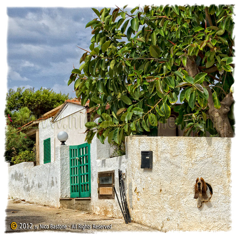 Custonaci TP "Baia Cornino 01. Aspettando il postino - Waiting for the postman"