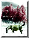 Infrarosso: Cavallo - Infrared film: Horse