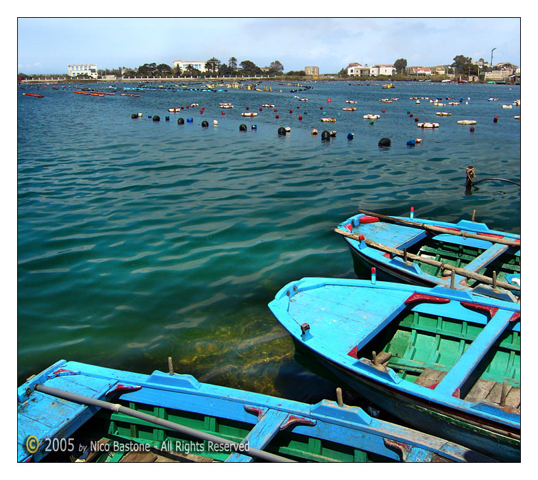 Lago di Ganzirri "Allevamento cozze" - Ganzirri's Lake "Breeding mussels"