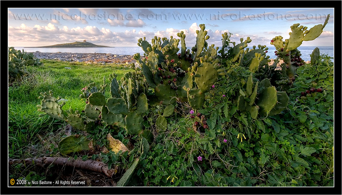 Isola delle Femmine 01 - Elaborazione grafica in HDR, High Dynamic Range