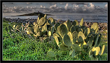 Isola delle Femmine 02 - Elaborazione grafica in HDR, High Dynamic Range