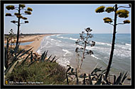 Marina di Ispica - Ragusa "Paesaggio con agavi 2 - Seascape with agaves 2" - "S.Maria del Focallo - Marina Marza"