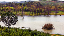 Partinico PA "Lago Poma Paesaggio con alberi - Poma Lake Landscape with trees" 1920x1080
