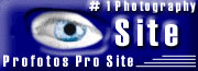 Awarded by Profotos.Com in June, 2003