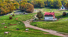 Monti delle Madonie "Piano Battaglia" Madonie Mountains