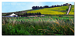 Menfi Agrigento "Fields"