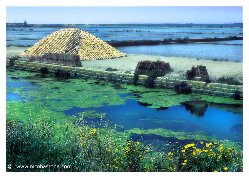 Marsala  "The Saline" (Salt production) - "Canal"