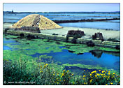 Marsala  "The Saline" (Salt production) - "Canal"